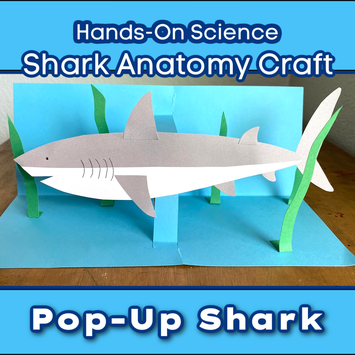 a pop up shark made out of construction paper